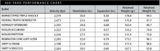 Penetration300_win_mag400RifleShooter2014_zpse551fceb.jpg