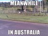 australia00.jpg