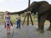elephant encounter.jpg