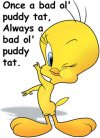 looney_tunes_tweety_pie.jpg