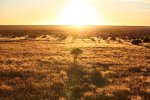 50) Sunrise.jpg