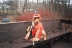 redneck_hunting_dog.jpg