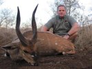 Bushbuck2Medium.jpeg