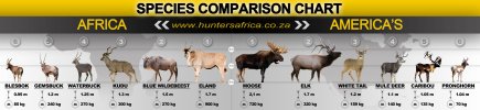 Animal-Africa-Americas.jpg