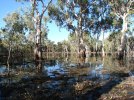 Arnhem Land 005.jpg