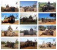 2019 Blue Wildebeest collage.jpg