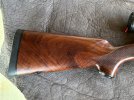 IMG_4229.jpeg