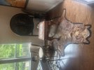 IMG_1678.jpeg