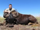 Steve-Black Wildebeest.jpg