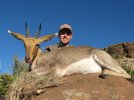 Mountain Reedbuck.jpg