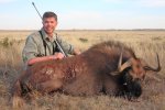 brian black wildebeest 2.jpg