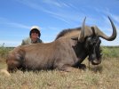 teresa_hunted_blackwildebeest1.JPG