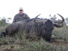 ralph_hunted_blue_wildebeest.JPG