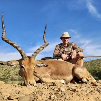 Buffalo cow + Impala trophy ram / Limpopo, South Africa 