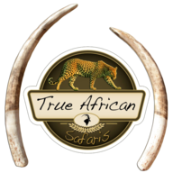 True African Safaris