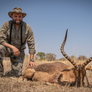 Impala