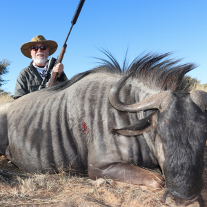 Blue Wildebeest Hunt