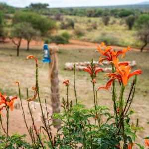 Scenery Tanzania