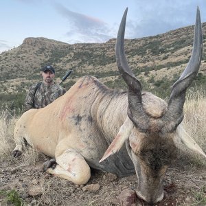 Mounting my Eland at Splitting Image