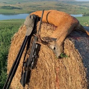 HUNTROMANIA Hunting Season