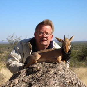 Damara Dik Dik Hunting in Namibia