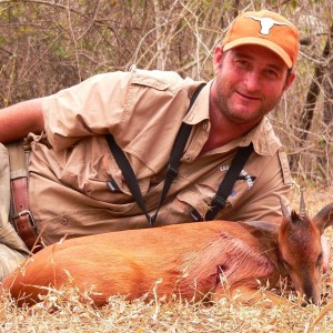 red duiker