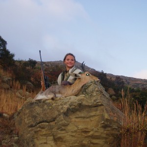 Mountian Reedbuck