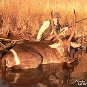 waterbuck