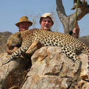 Hunting Leopard in Namibia