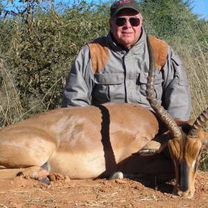 Black-Faced Impala from Namibia