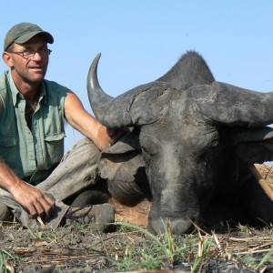 central africa buffalo. 33'