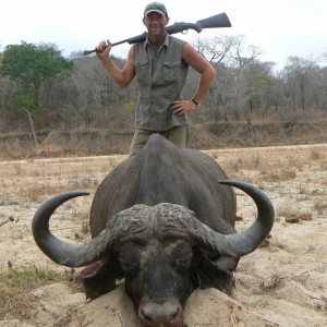 Tanzania. Cape buffalo. 42'