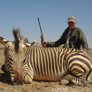 Hartmann Mountain Zebra stallion