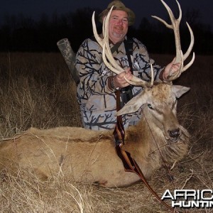 Bowhunting Red Deer