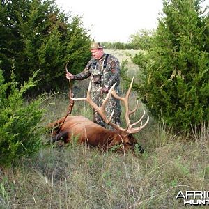 Bowhunting Elk