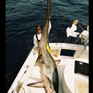 Big Eye Thresher Shark | AfricaHunting.com