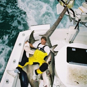 Mako Hammerhead Thresher Shark