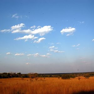 Hunting in Zambia