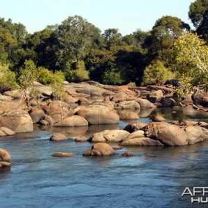 Hunting in Zambia