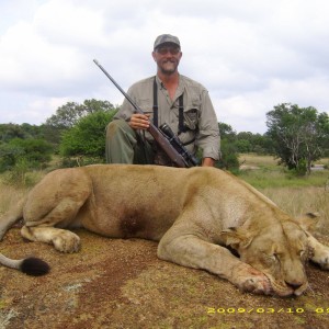 Lioness Inyala Safaris