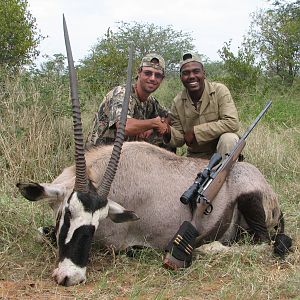 Gemsbok