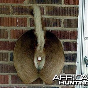 Redneck doorbell