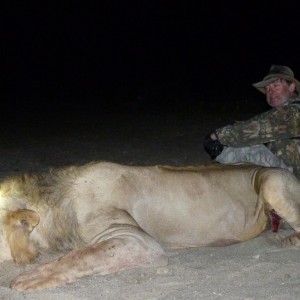 Lion hunted in the Selous, Tanzania