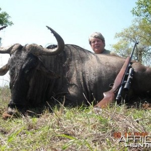 Blue Wildebeest hunted with Leeukop Safaris