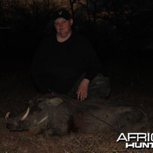 Bowhunting Warthog South Africa