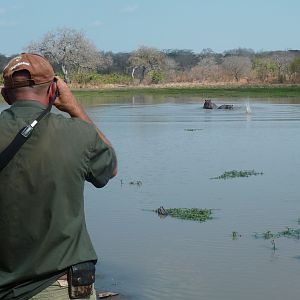 Hunting Hippo in Tanzania