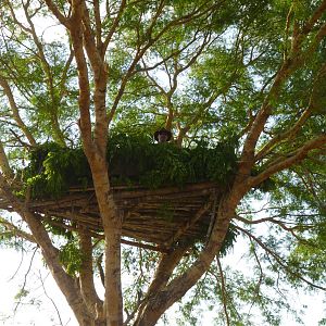 Hunting Hide Tanzania