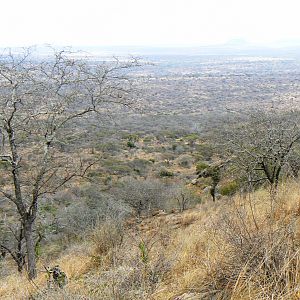 Hunting in Tanzania