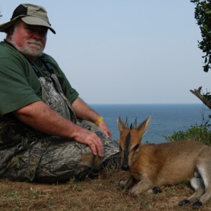 Hunting East African Bush Duiker Uganda