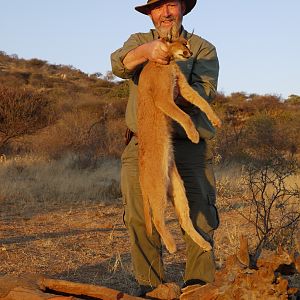 Hunting Caracal in Namibia